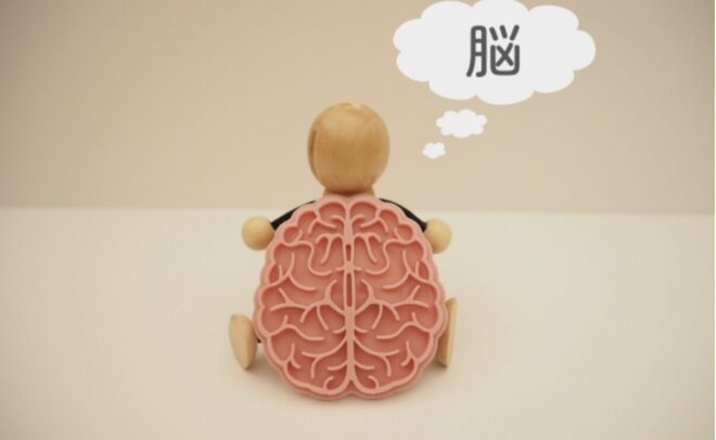認知症の脳に何が起きている？種類別に変化と影響を解説