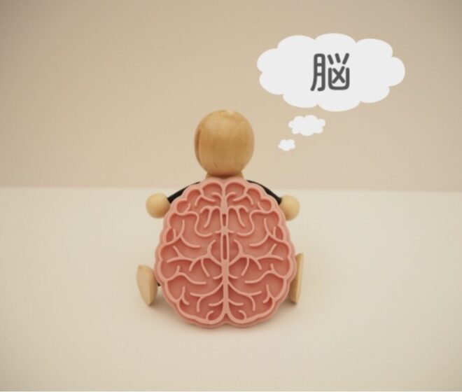 認知症の脳に何が起きている？種類別に変化と影響を解説