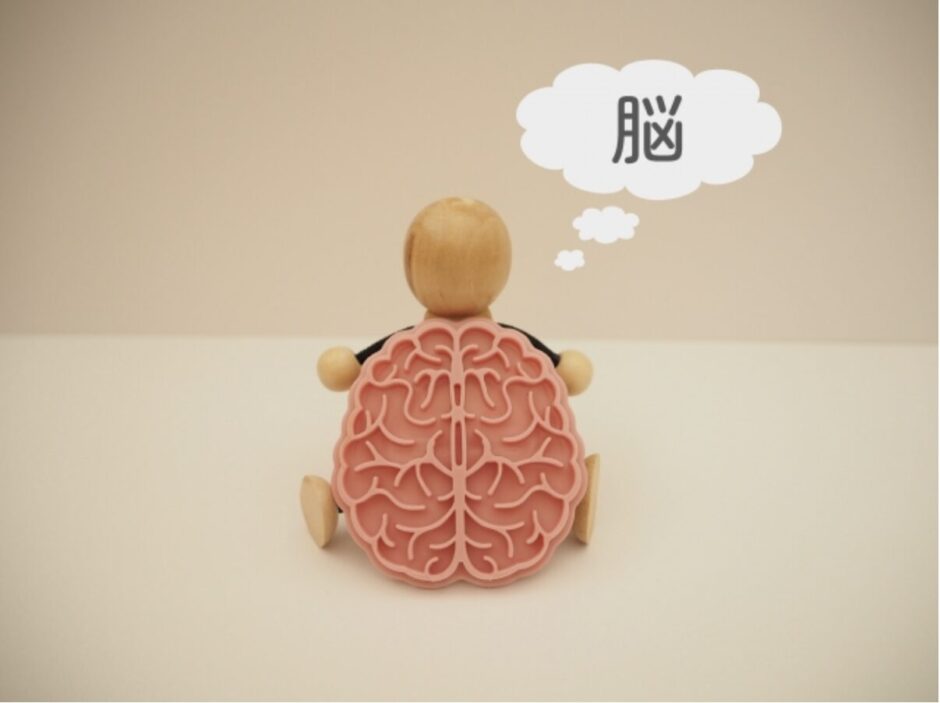 認知症の脳に何が起きている？種類別に変化と影響を解説